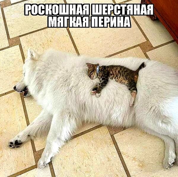 РОСКОШНАЯ ШЕРСТЯНАЯ МЯГКАЯ ПЕРИНА