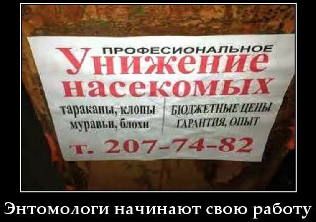 ПРОФЕССИОНАЛЬНОЕ
УНИЧЖЕНИЕ
НАСЕКОМЫХ
тараканов, клопов, муравьев, блох
БЮДЖЕТНЫЕ ЦЕНЫ
ГАРАНТИЯ, ОПЫТ
т. 207-74-82