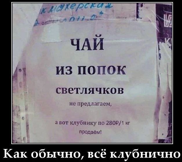 ЧАЙ 
ИЗ ПОПОК 
светлячков 
не предлагаем, 
а вот клубнику по 280Р/1 кг продадим! 
Как обычно, всё клубнично
