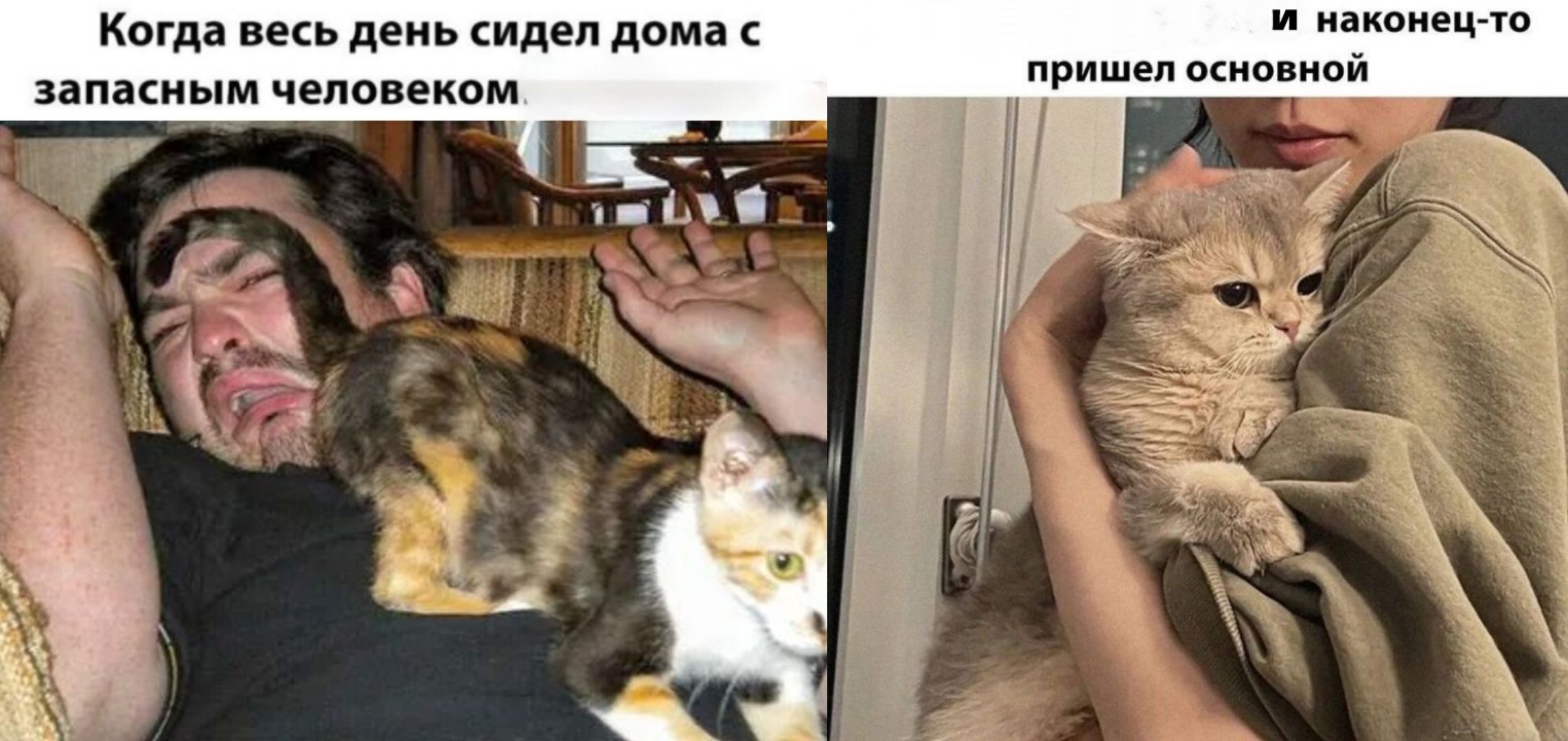 Когда весь день сидел дома с запасным человеком и наконец-то пришел основной