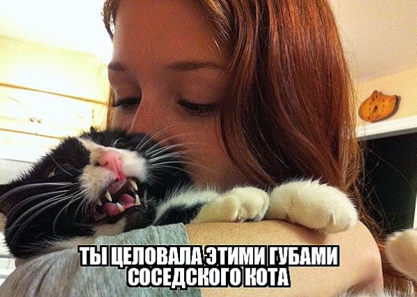 Ты целовала этими губами соседского кота