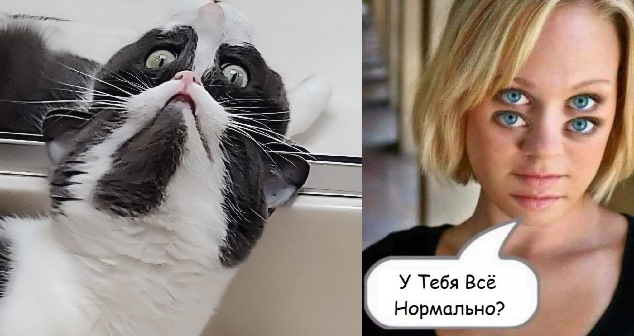 У Тебя Всё Нормально?