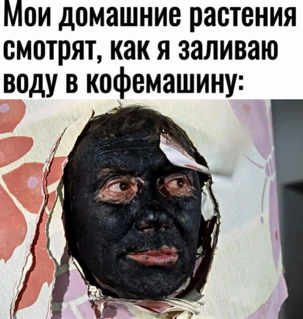 Мои домашние растения смотрят, как я заливаю воду в кофемашину: