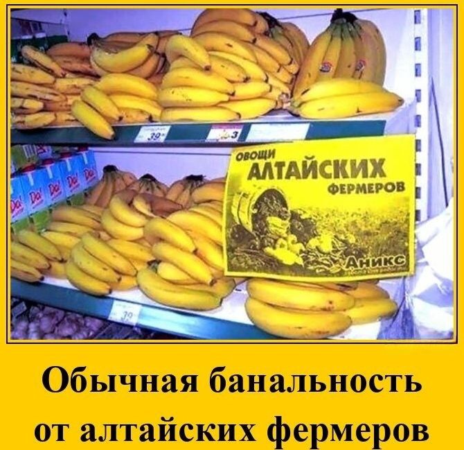 Овощи алтайских фермеров
Аникис
Обычная банальность от алтайских фермеров
