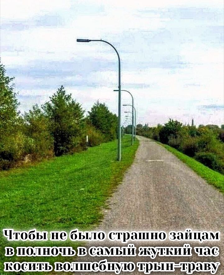 Чтобы не было страшно зайцам в полночь в самый жуткий час косить волшебную трын-траву
