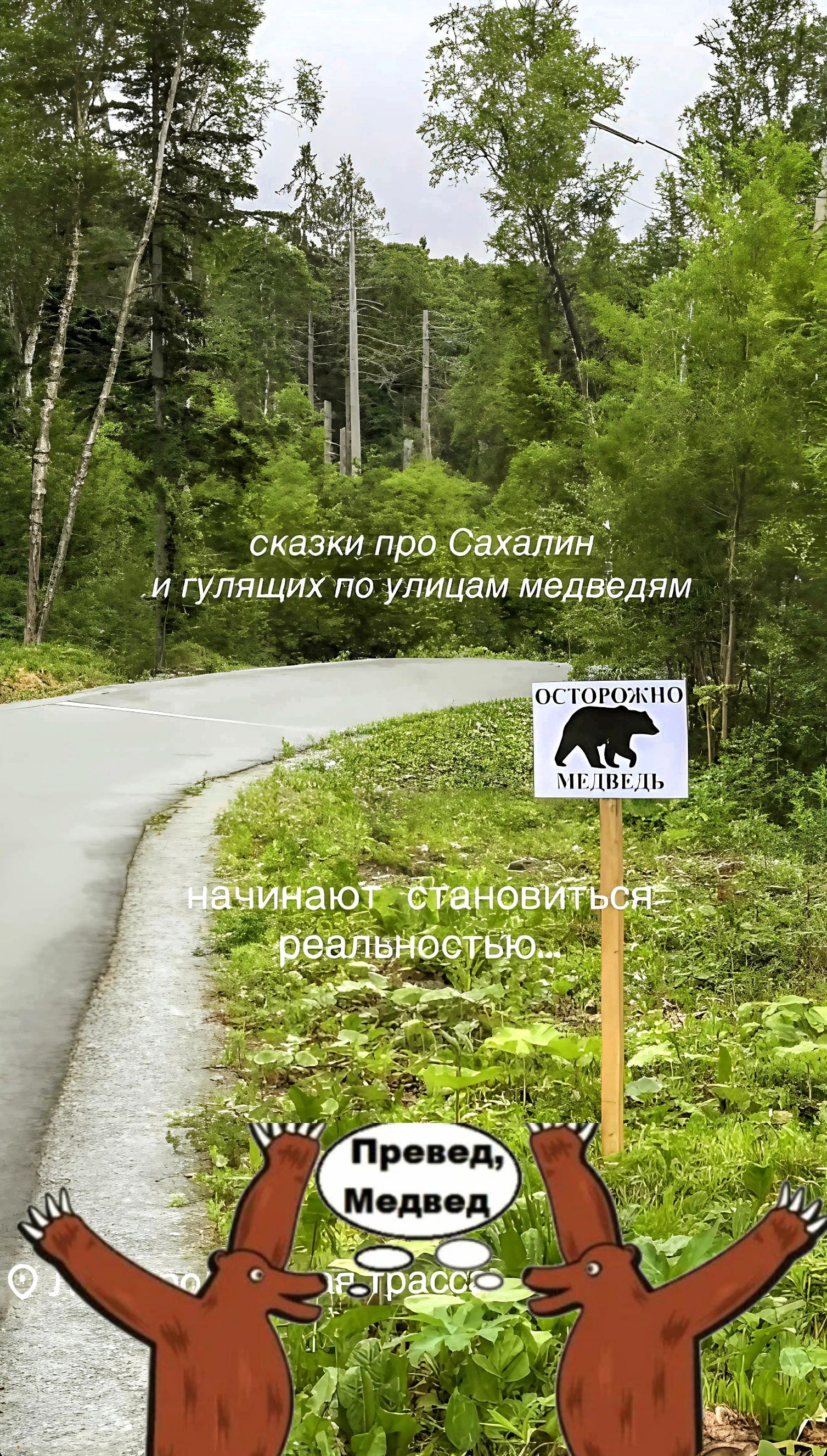 сказки про Сахалин
и гулящих по улицам медведям
осторожно
медведь
начинают становиться
реальностью...
Привет, Медведь