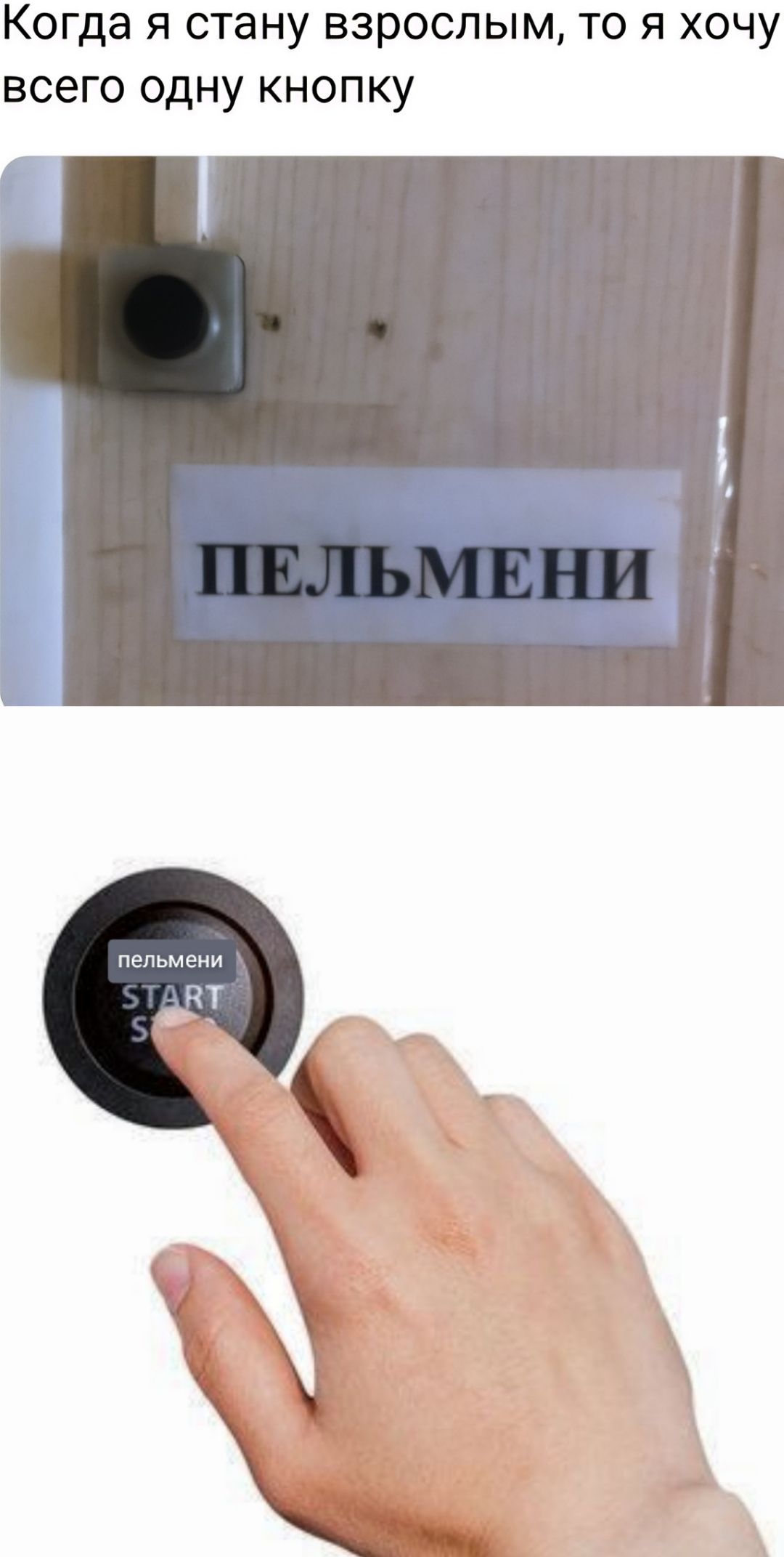 Когда я стану взрослым, то я хочу всего одну кнопку
ПЕЛЬМЕНИ
START S