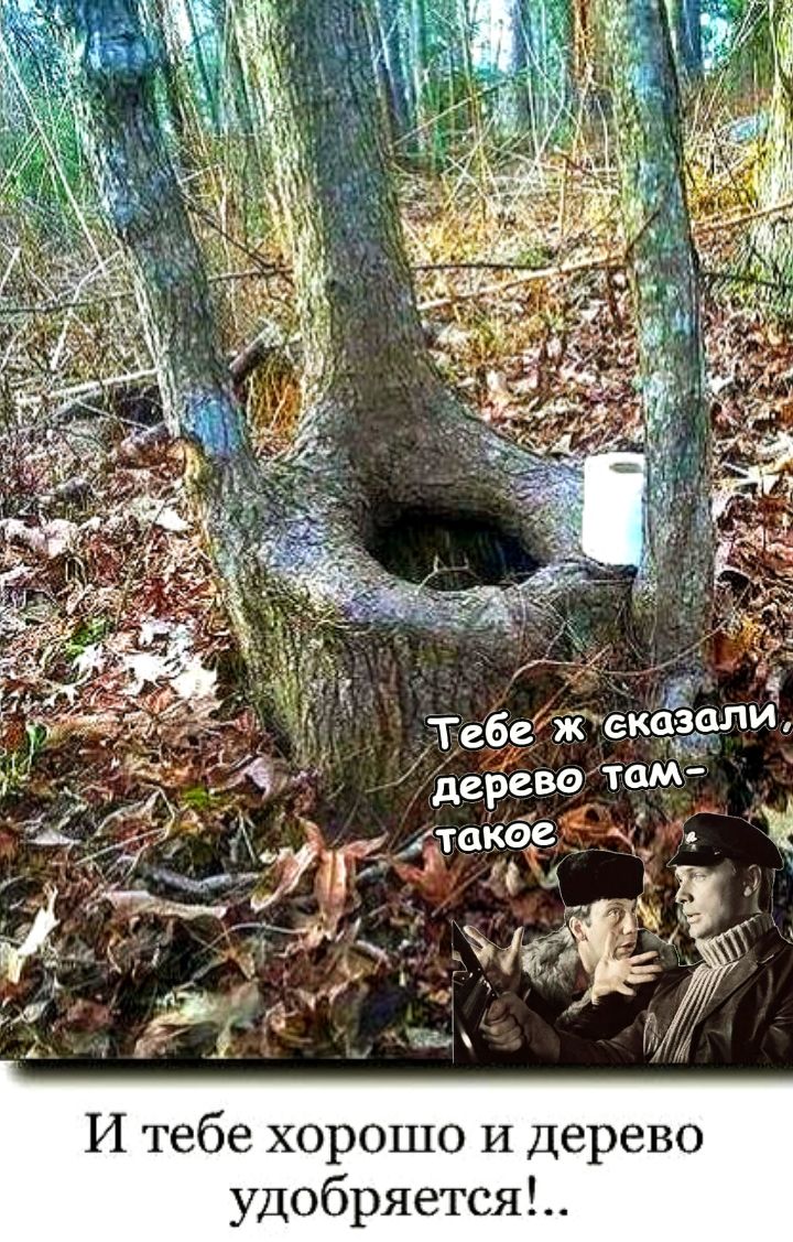 И тебе хорошо и дерево удобряется!..