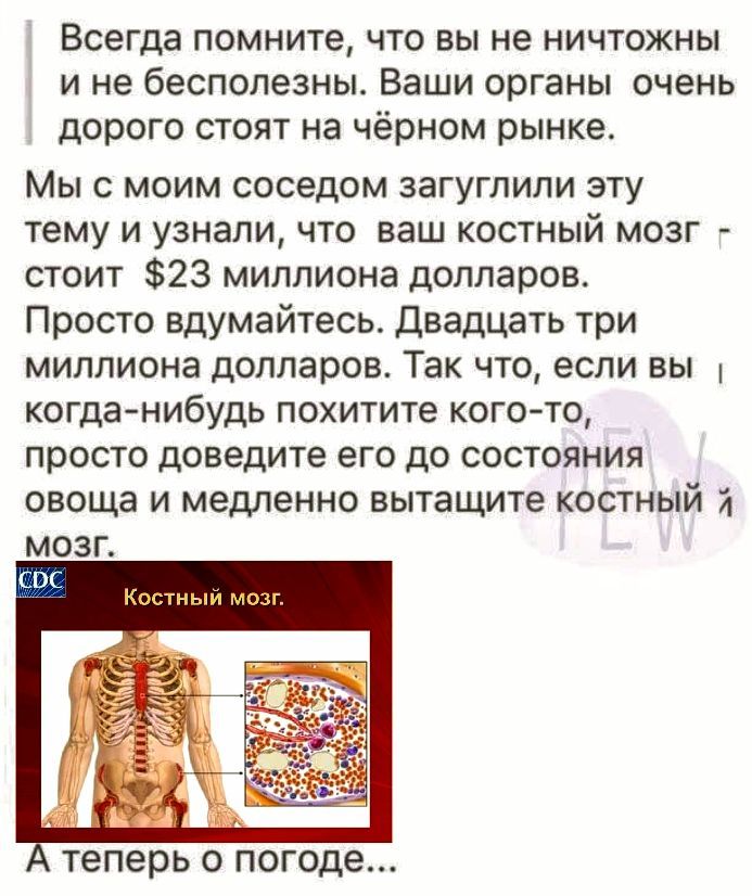 Всегда помните, что вы не ничтожны и не бесполезны. Ваши органы очень дорого стоят на чёрном рынке.

Мы с моим соседом загуглили эту тему и узнали, что ваш костный мозг стоит $23 миллиона долларов.
Просто вдумайтесь. Двадцать три миллиона долларов. Так что, если вы когда-нибудь похитите кого-то, просто доведите его до состояния овоща и медленно вытаскивайте костный и мозг.

А теперь о погоде...