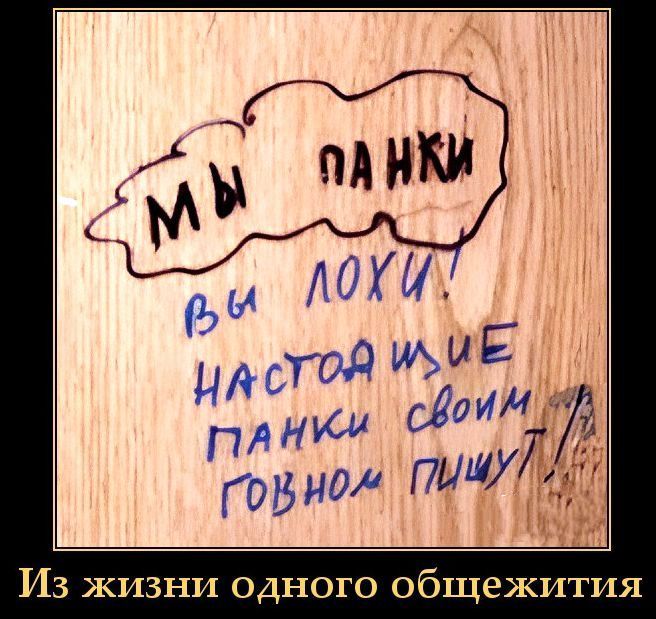 МЫ ПАНКИ
ВЫ ЛОХИ!
НАСТОЯЩИЕ ПАНКИ СВОИМ ГОВНОМ ПИШУТ!
Из жизни одного общежития