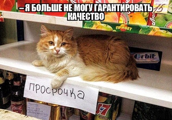 – Я больше не могу гарантировать качество
просрочка