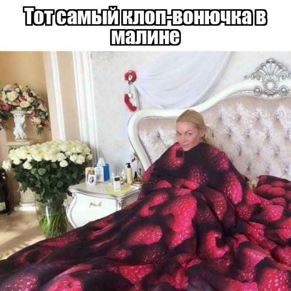 Тот самый клоп-вонючка в малине