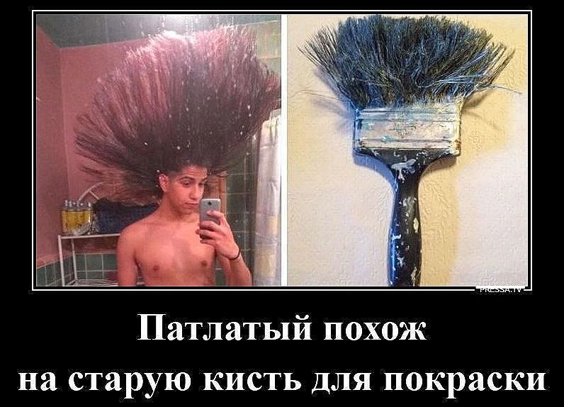 Патлатый похож на старую кисть для покраски
