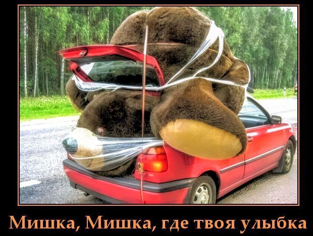 Мишка, Мишка, где твоя улыбка