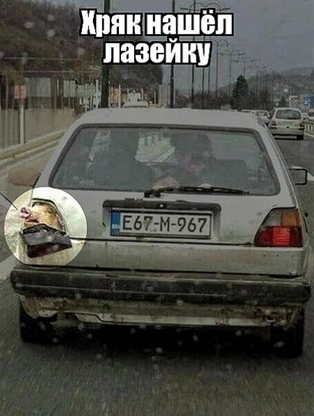 Хрячка нашёл лазейку