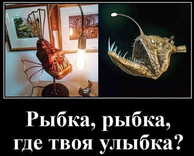 Рыбка, рыбка, где твоя улыбка?