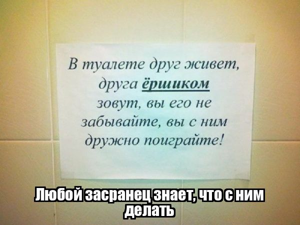 В туалете друг живет, друга ёршиком зовут, вы его не забывайте, вы с ним дружно поиграйте! Любой засранец знает, что с ним делать.