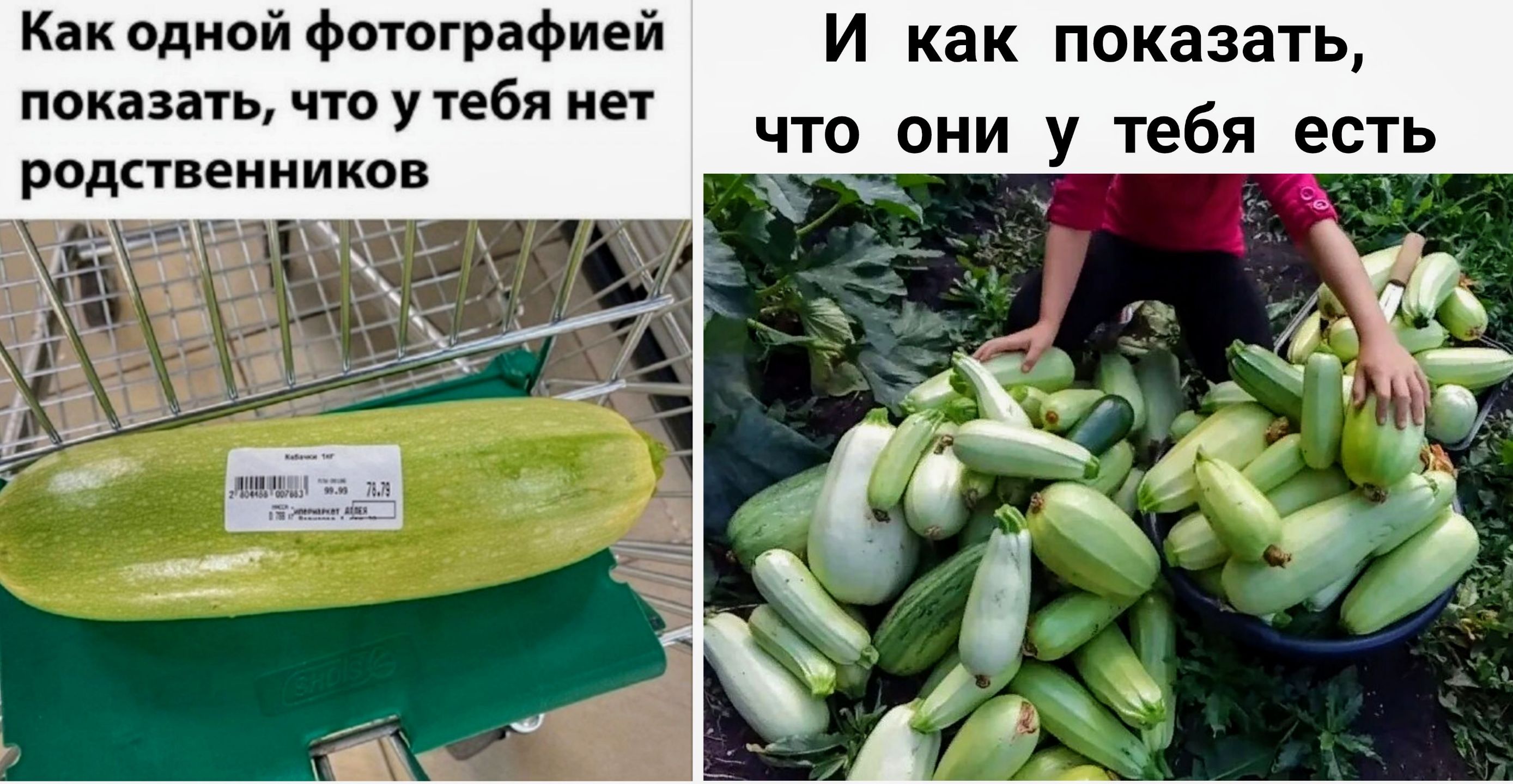 Как одной фотографией показать, что у тебя нет родственников
И как показать, что они у тебя есть