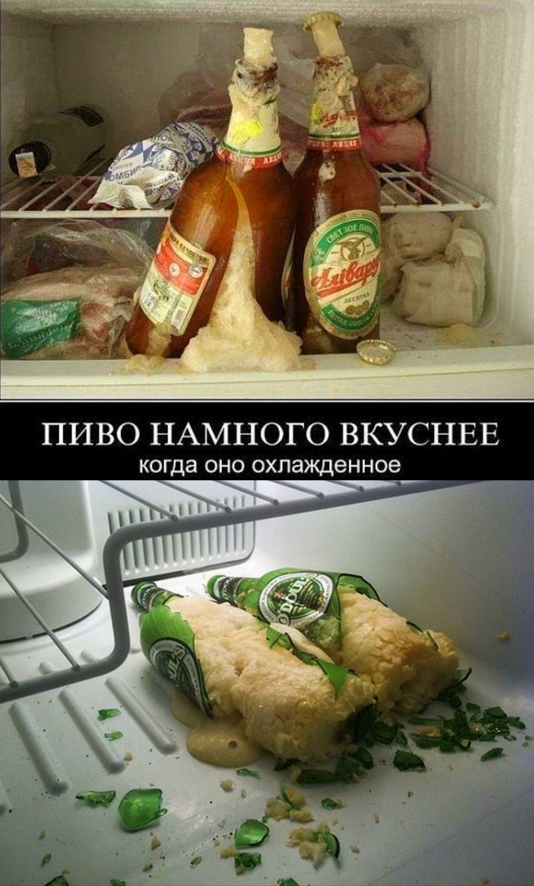 ПИВО НАМНОГО ВКУСНЕЕ
когда оно охлаждённое