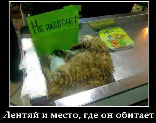 Лентяй и место, где он обитает.