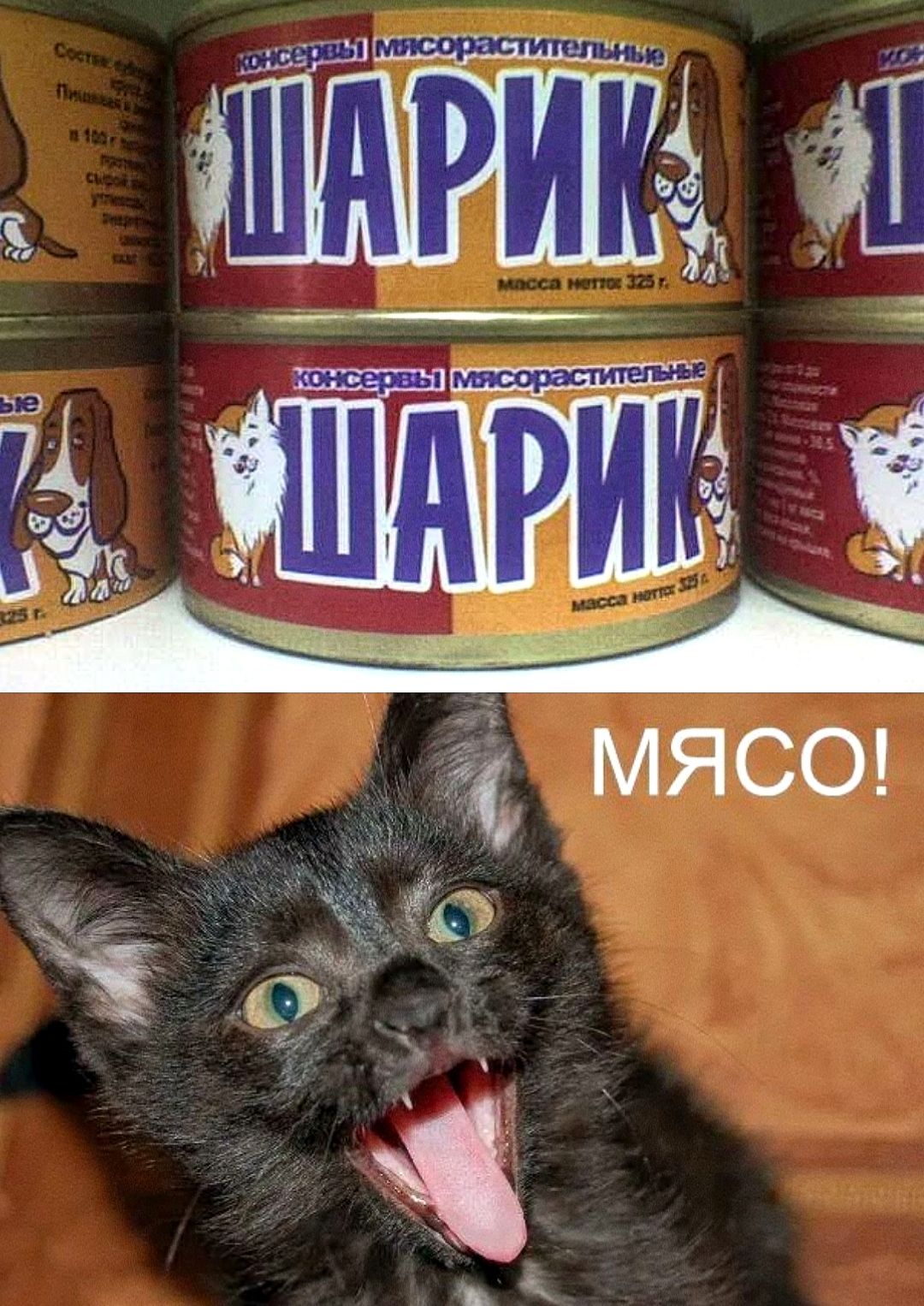 МЯСО!