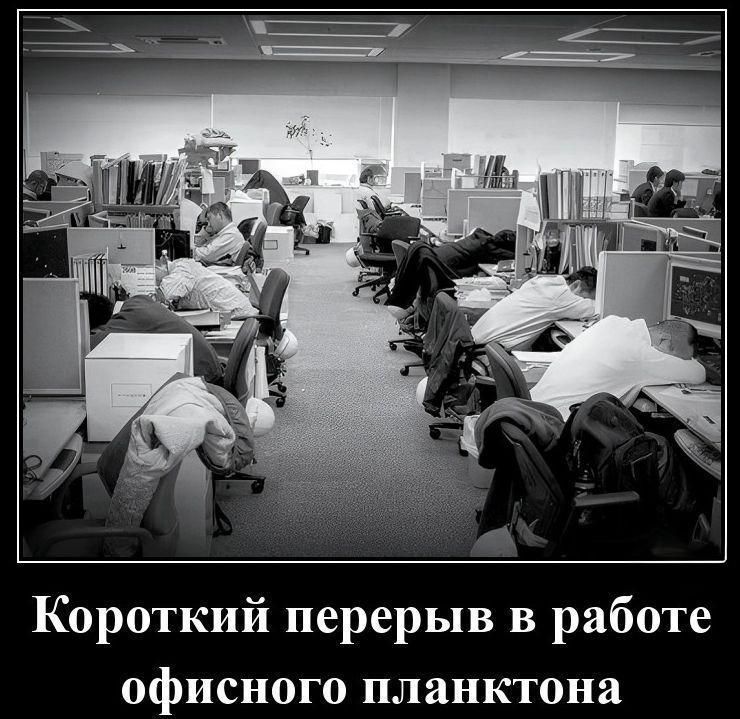 Короткий перерыв в работе офисного planktona