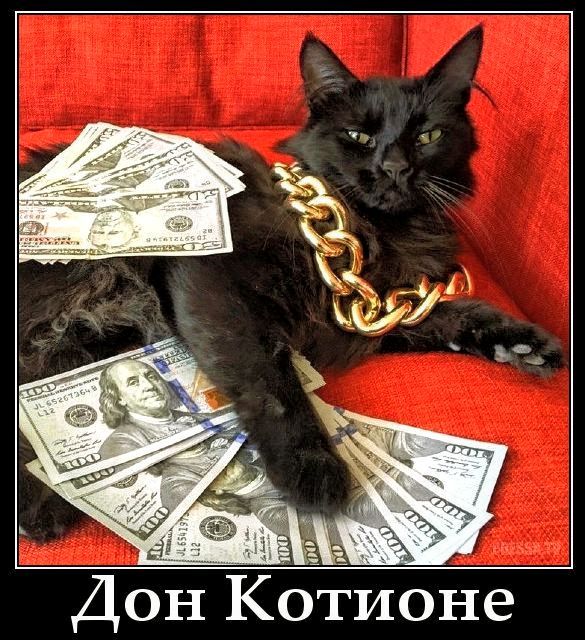 Дон Котионе