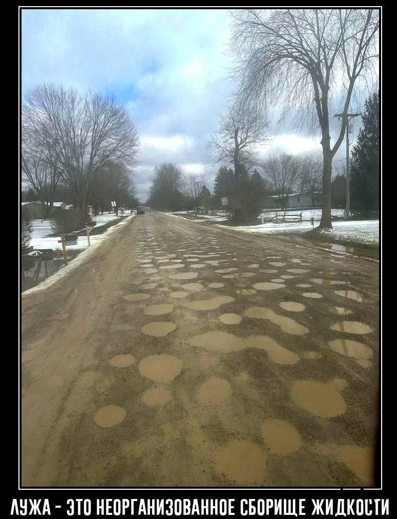 ЛУЖА - ЭТО НЕОРГАНИЗОВАННОЕ СБОРИЩЕ ЖИДКОСТИ