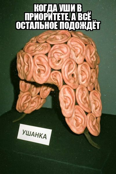 Когда уши в приоритете, а всё остальное подождёт.