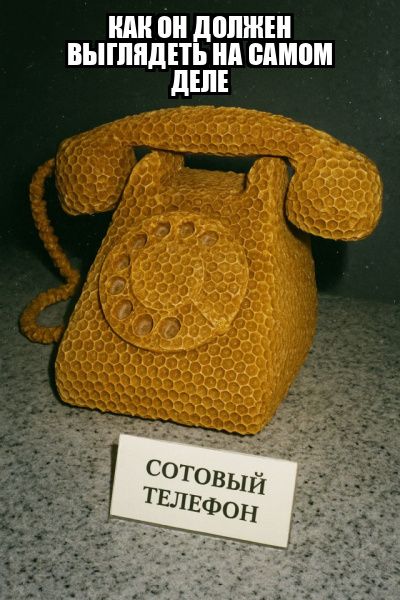 КАК ОН ДОЛЖЕН ВЫГЛЯДЕТЬ НА САМОМ ДЕЛЕ
СОТОВЫЙ ТЕЛЕФОН