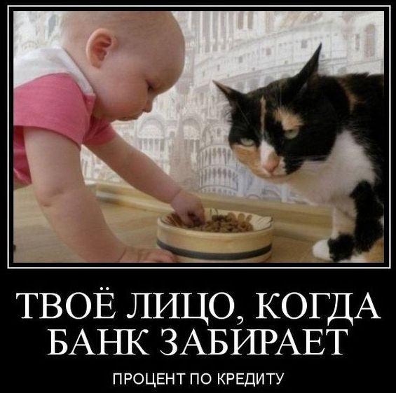 ТВОЁ ЛИЦО, КОГДА БАНК ЗАБИРАЕТ ПРОЦЕНТ ПО КРЕДИТУ