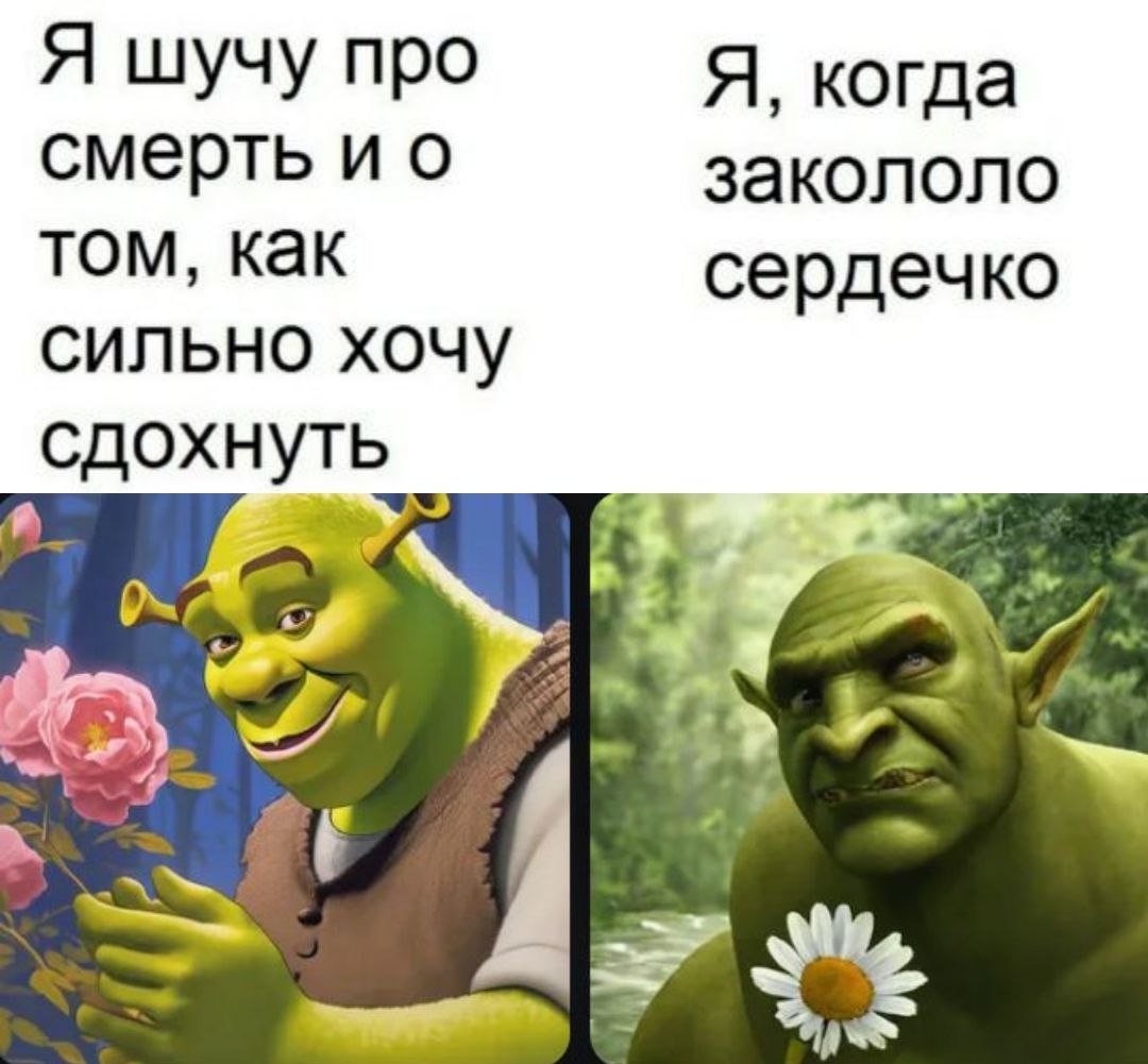 Я шучу про смерть и о том, как сильно хочу сдохнуть
Я, когда закололо сердечко