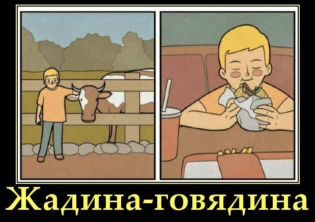 Жадина-говядина