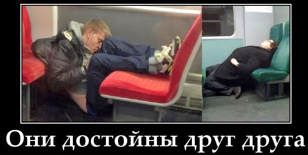 Они достойны друг друга