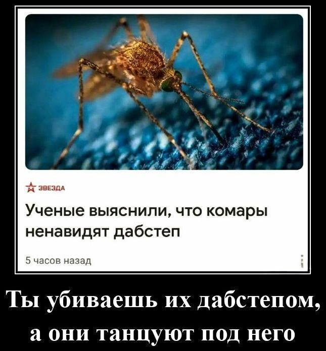 Ты убиваешь их дабстепом, а они танцуют под него

Учёные выяснили, что комары ненавидят дабстеп
5 часов назад