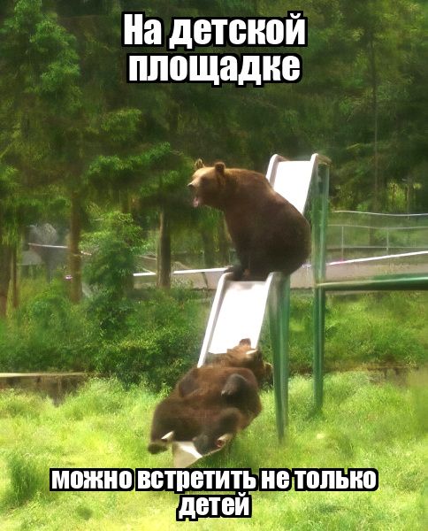 На детской площадке можно встретить не только детей