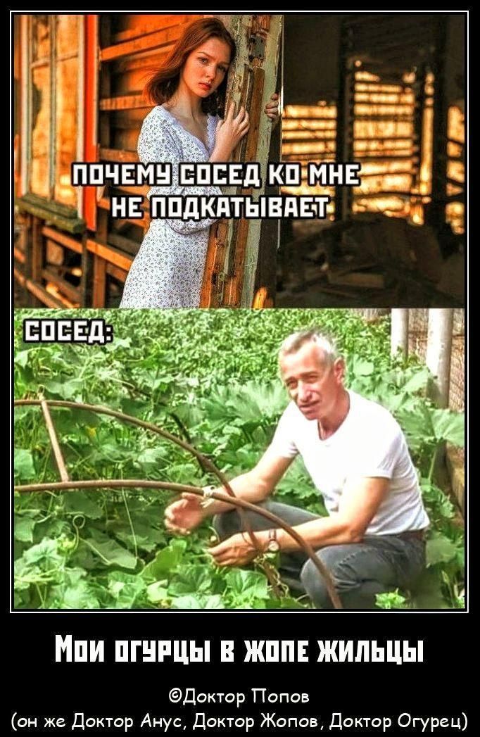 Почему сосед ко мне не подкатит? Мои огурцы в жопе жилцы.