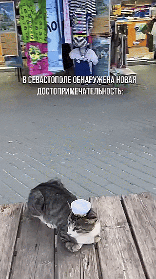 В Севастополе обнаружена новая достопримечательность: