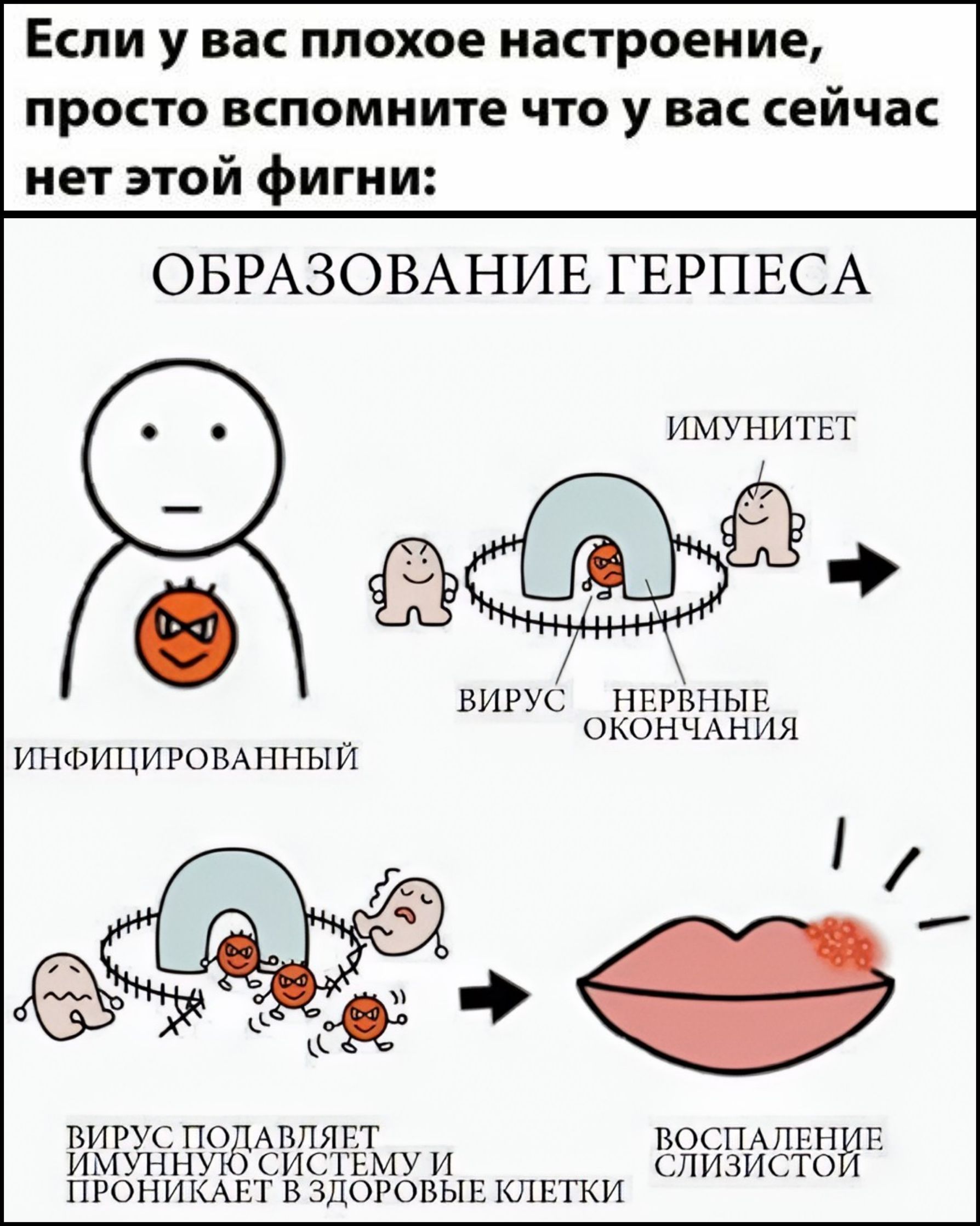 Если у вас плохое настроение, просто вспомните что у вас сейчас нет этой фигни:

ОБРАЗОВАНИЕ ГЕРПЕСА

ИММУНИТЕТ

Инфицированный

Вирус

Нервные окончания

Вирус подавляет иммунную систему и проникает в здоровые клетки

Воспаление слизистки