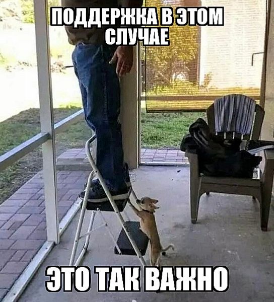 ПОДДЕРЖКА В ЭТОМ СЛУЧАЕ
ЭТО ТАК ВАЖНО