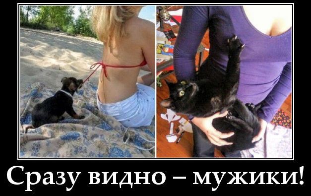 Сразу видно – мужики!