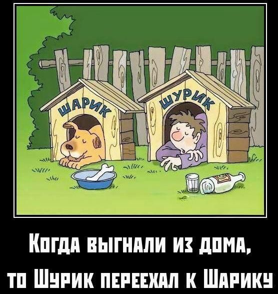 Когда выгнали из дома, то Шурик переехал к Шарику.