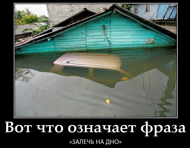 Вот что означает фраза «ЗАЛЕЧЬ НА ДНО»