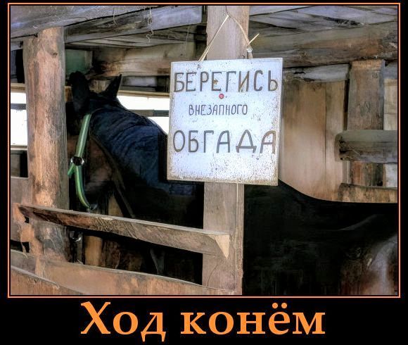 Берегись вьезжающего обгада
Ход конём