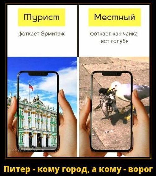 Турист
фоткает Эрмитаж

Местный
фоткает как чайка ест голубя

Питер - кому город, а кому - ворог