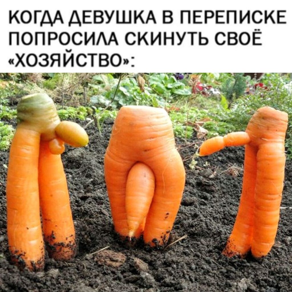 КОНДА ДЕВУШКА В ПЕРЕПИСКЕ ПОПРОСИЛА СКИНУТЬ СВОЁ «ХОЗЯЙСТВО»: