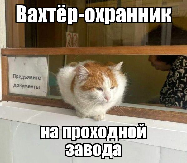 Вахтёр-охранник на проходной завода