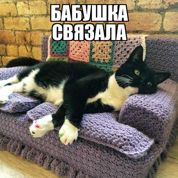 БАБУШКА СВЯЗАЛА