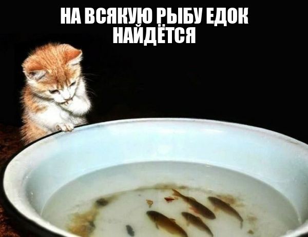 НА ВСЯКУЮ РЫБУ ЕДOK НАЙДЕТСЯ
