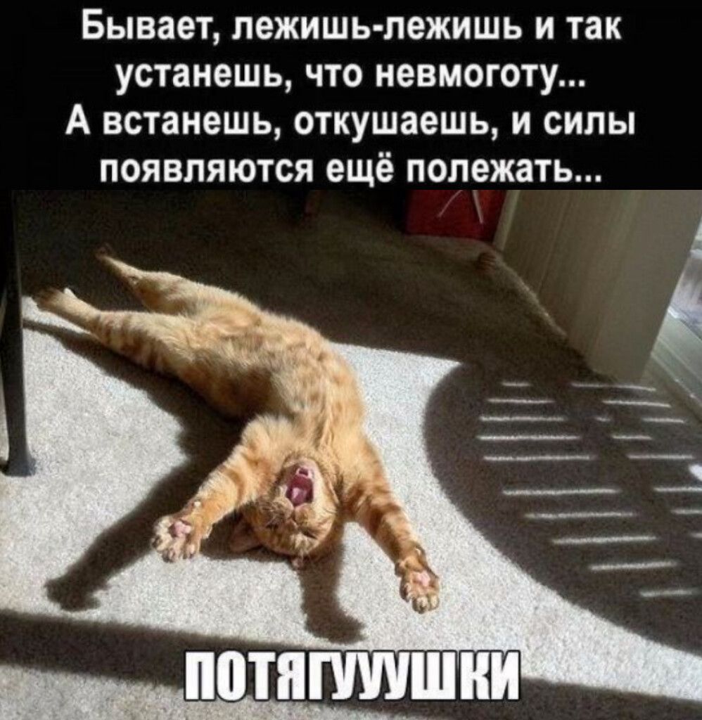 Бывает, лежишь-лежишь и так устанешь, что невмоготу... А встанешь, откашляешь, и силы появляются ещё полежать... потягуушки